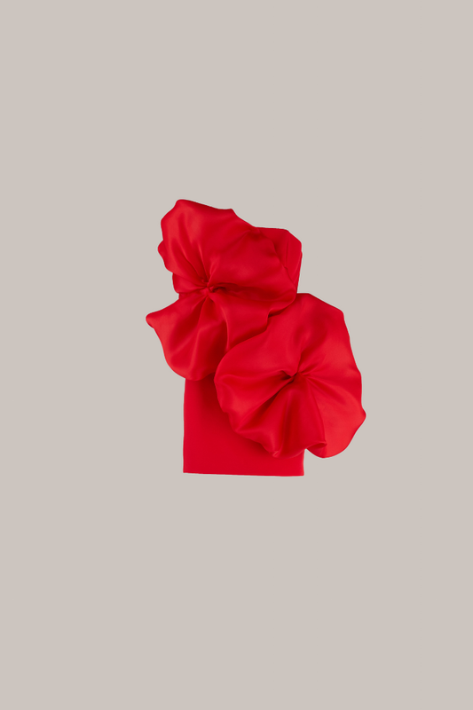 Her Flower Applique Mini Red Scarlet Dress