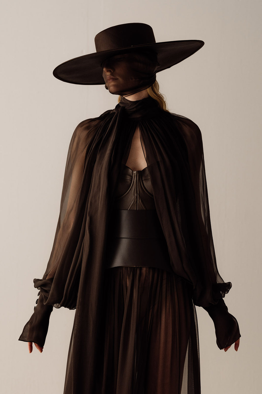 Her Brown Chiffon Sleeve Blouse